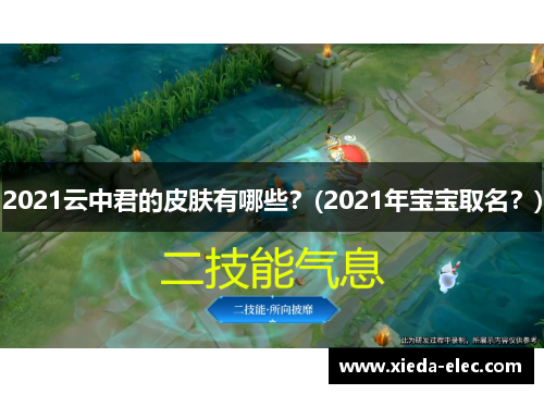 2021云中君的皮肤有哪些？(2021年宝宝取名？)