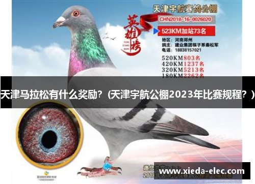 天津马拉松有什么奖励？(天津宇航公棚2023年比赛规程？)
